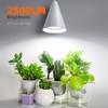 Bstrip Hanging Grow Lights for Indoor Plants-25W Full Spectrum 5000K