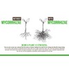 All Purpose Plant Superfood and Fertilizer | Makes 70 Gallons