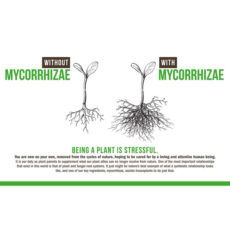 All Purpose Plant Superfood and Fertilizer | Makes 70 Gallons