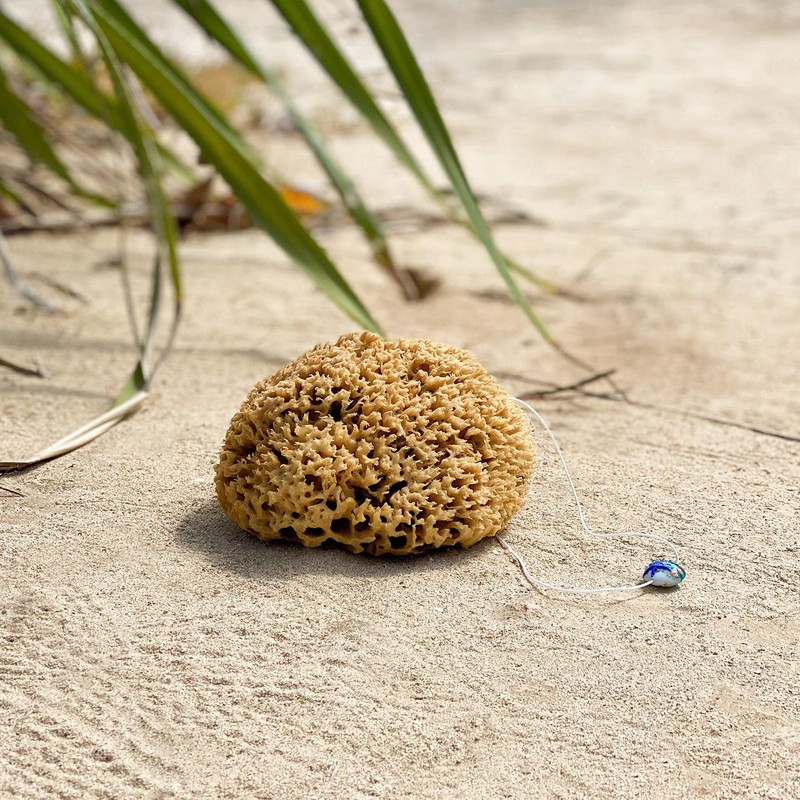 Natural Sponges with Cord & Glass Pendant - Unbleached Mediterranean