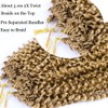 Passion Twist Hair Extensions Blond Curly Crochet Hair 12 Inch