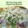 Outsidepride White Ageratum Seeds - 5000 Pcs Annual Flower Seeds