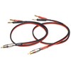 CNCESS CESS-024-2f Speaker Cable with RCA Plug to 4mm Banana