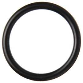 TOTO O-Ring TH91309E