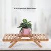 Wooden Standing Foldable 2-layered Potted Plant Flower Shelf Storage Rack