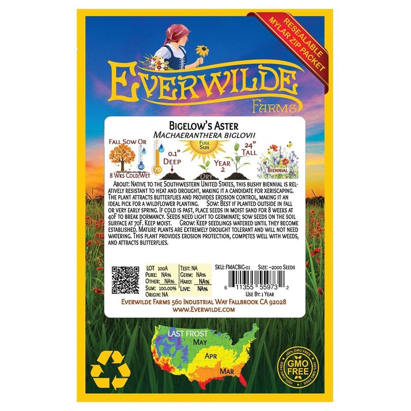 Everwilde Farms - 2000 Bigelow's Aster Native Wildflower Seeds -