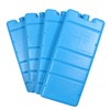 Pack of 10 Ice Packs Blue, Ideal for Cooling Bags