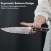 KINOINA 5-Piece Damascus Knife Set - Ultra-Sharp Professional 67-Layer VG10