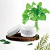 Diva T-White Anti-Aging Cream Skin Wrinkle Improvement Cosmetic 50ml /