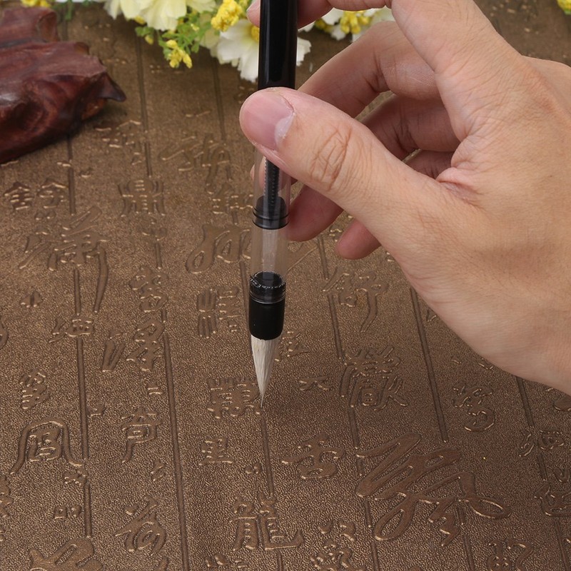 6 Pcs Piston Water Brush Chinese Japanese Calligraphy Pen Adjustable