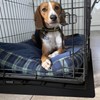 Floortex® P-Tex Polypropylene Pet Crate Floor Protection Mat - Medium