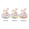 Polvo Suelto De Brillo Dazzling Starglow Shimmer L.a Colors