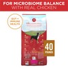Purina ONE Chicken and Rice Formula Dry Dog Food -