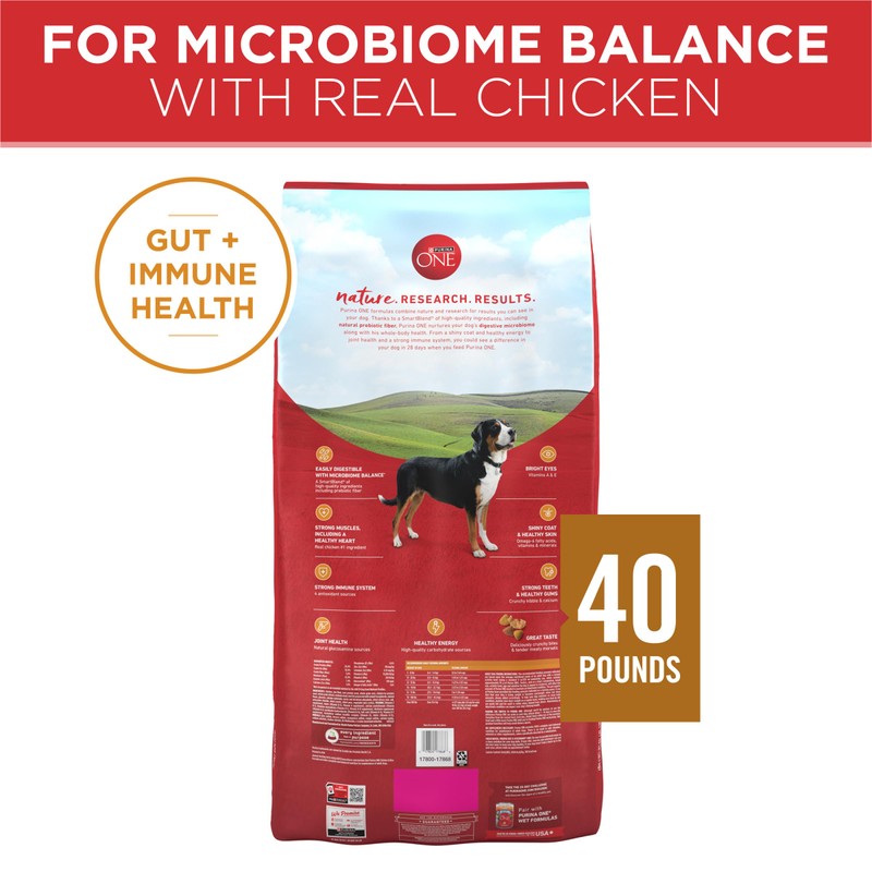 Purina ONE Chicken and Rice Formula Dry Dog Food -