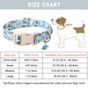 ARING PET Dinosaur Dog Collar-Cute Dog Collar for Small Dogs,