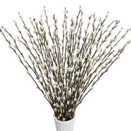 VirtuGro 40STEMS 17IN Real Dried Pussywillow Branches for Vases Natural Pussywillows with White Dried Flowers for Wedding Home Party Hotel Fireplace Fall Decor
