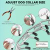 Collar with Quick Release Buckle for Small Medium Large Dogs