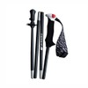 sinano 21 Toreran Pole 14.0 BK 100 Outdoor Pole (550264)