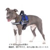 Ferplast Hercules Extra Large Dog Harness, Padded, Durable, Scratch-Resistant, Visible