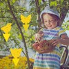 40 Pcs 5 Shapes Yellow Extremely Sticky Traps for Fungus