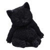 Nemesis Now Daydream 13cm, Resin, Black, Cat Figure, Black Cat