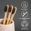 11 cepillos de dientes de bambú biodegradables