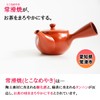 [Smooth and Washable] Kitsusako Tokoname Ware Shinju Teapot / 10.1
