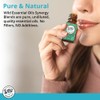 Wild Essentials 100% Pure Therapeutic Grade Zen Essential Oil Blend