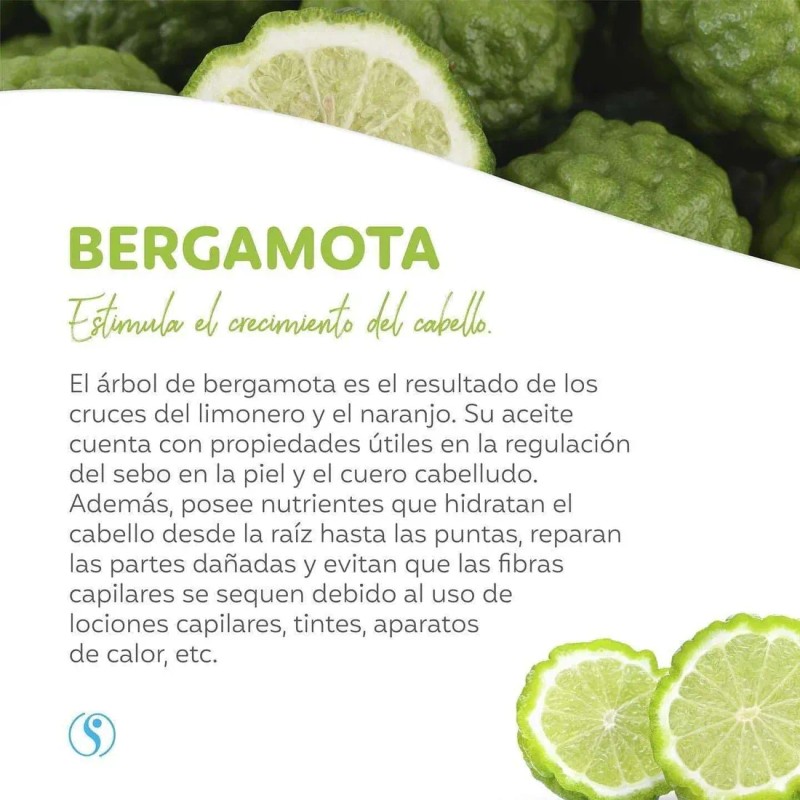 Shampoo Bergamota Sheló Nabel 530 Anticaída