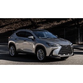 BASF Touch Up Paint for Lexus vehicles with paint code 1J7, Atomic Silver.