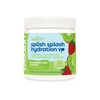 Splish Splash Hydration:_Strawberry Kiwi