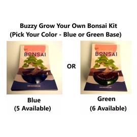 Buzzy Bonsai (Spruce - Picea Abies) Complete Grow Kit