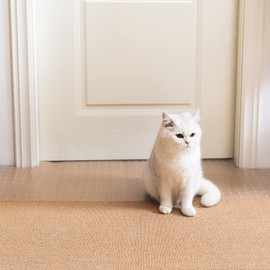 Uross Carpet Protector for Pets - Random Color Cat Carpet Protector for Doorway, Anti Scratch Under Door Cat Protector Mat, Easy to Cut Plastic Scratch Stopper Guard Carpet 3.6FT