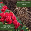 BioAdvanced All-In-One Rose and Flower Care I, Granules for Insects