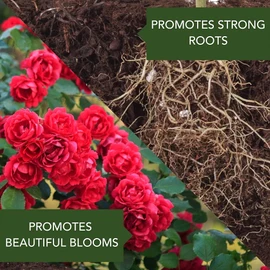 BioAdvanced All-In-One Rose and Flower Care I Granules - Fertilizer, Insect Control & Disease Control - Prevents Pests and Diseases - Up to 6 Weeks Protection - 4 lb Bottle