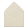 Neuser FarbenFroh Envelopes B6 176 x 125 mm, Wet Sealing,