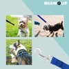 Dog Lead (5 m Blue), Training Dog Lead with Handle