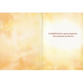Dog Sitting On Beach At Sunset - Avanti Golden Retriever Pet Sympathy Card by Avanti Press