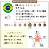 Kakashi Coffee, Brazilian Premium Coffee, Medium Broiling, Nut Flavor, Light