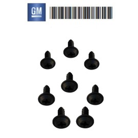 GM 98-02 Pontiac Headlight Headlamp cover mounting GM screw set.