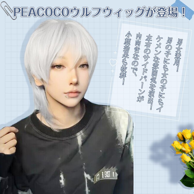 PEACOCO Men's Short Wig, Wig, Masculine Costume, Blonde Wig, Wolf,
