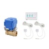 Fdit Water Leak Sensor with 2-Way DN20 Brass Ball Solenoid