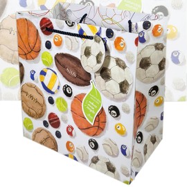 Sports premium gift bag | Large 28cm wide x 28cm tall x 12.5cm deep | Printed on the inside | Designed in the UK | sustainably sourced and recyclable