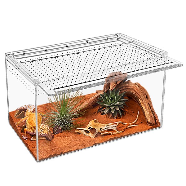 KAKOOTI Reptile Terrarium kit, 46 X 21 X 25 cm