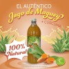 Jugo Verde Santo Magey Con Curcuma Michoacan Asado Paq 4