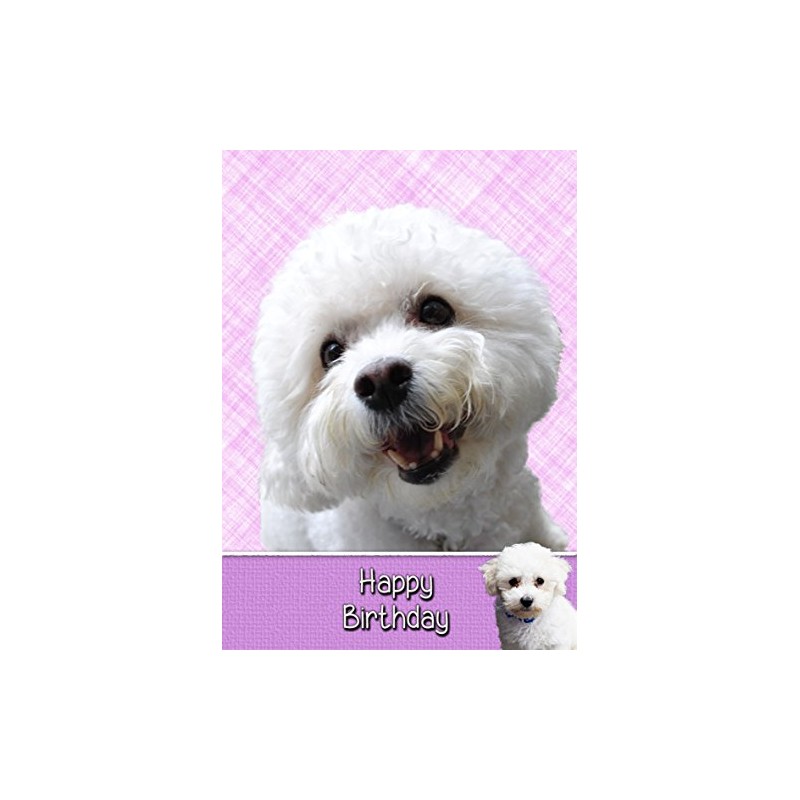 Bichon Frise Birthday Card