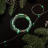 Northlight 50-Count LED Battery Operated Micro Fairy Lights - Green