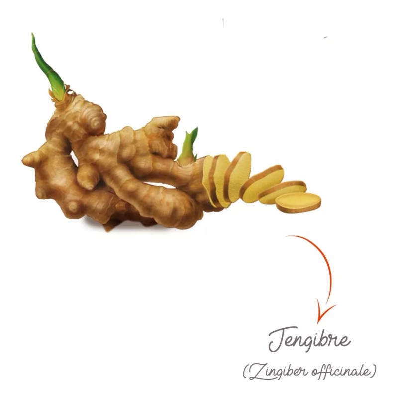 Therbal Te De Jengibre Therbal Hierbas Para Infusion 25 Sobres