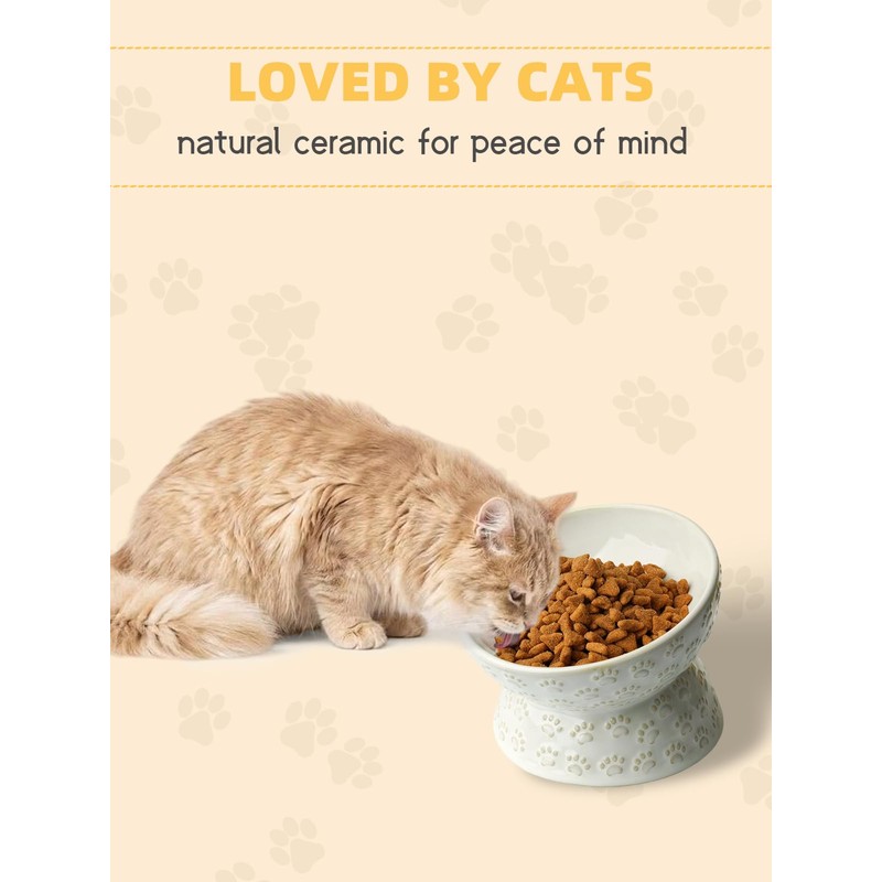 Ceramic Tilted Elevated Small Cat Bowl, for Fat Faced Cat,