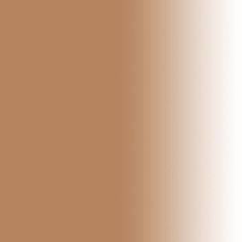 Dinair Airbrush Makeup Foundation | Natural Beige 0.50 oz | Camouflage Neutralizer - Covers Scars, Acne, Tattoos, Vitiligo, Under Eye circles, Sun Spots